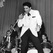 Elvis